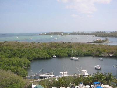 IMG_2008.jpg