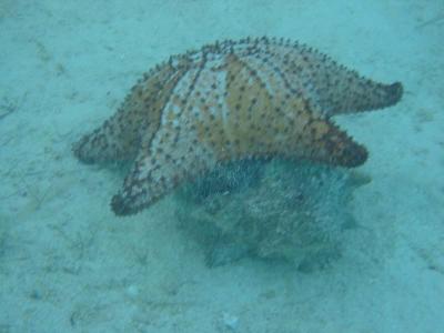 IMG_2061.jpg