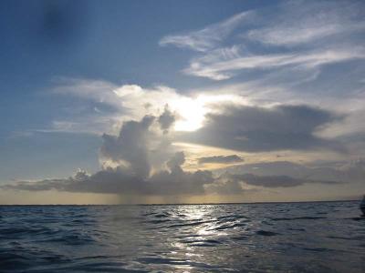 IMG_2065.jpg