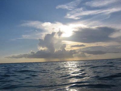 IMG_2067.jpg