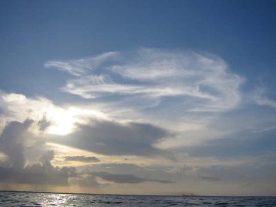 IMG_2068.jpg