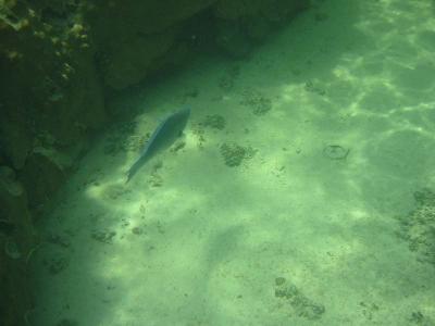 IMG_2132.jpg