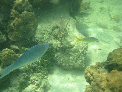 IMG_2133.jpg