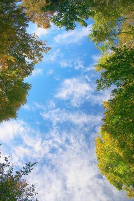 Sky above