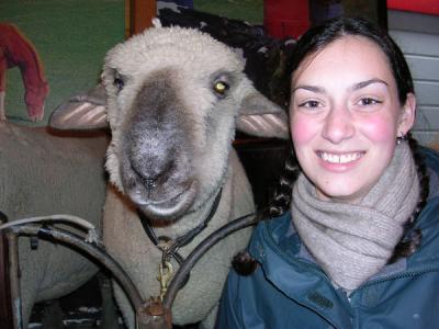 Sheep + Sara