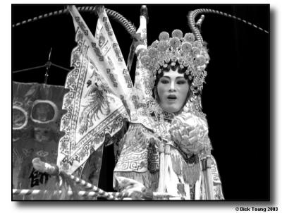 u34/dtsang831/medium/22461049.opera36.jpg