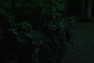 IMG05011.jpg