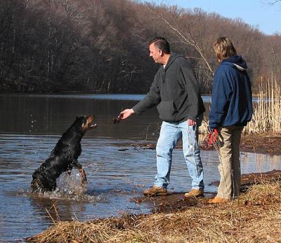 Playing Fetch
