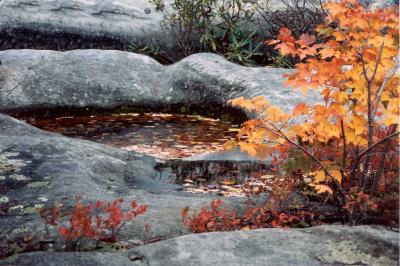 High Knob 2