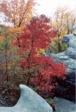 High Knob