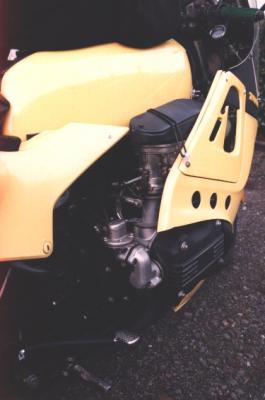 u34/elvin315/medium/22563904.BetterBoxer3a.jpg