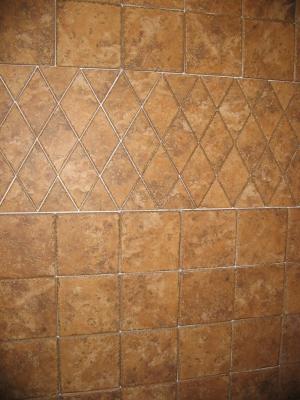 Look at that GLORIOUS wall. I suppose using a shower curtain is out of the question as it would hide the tiles and would = $$