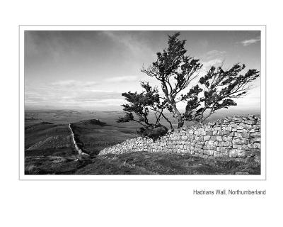 u34/ericg/medium/41388343.HadriansWallNorthumberland.jpg