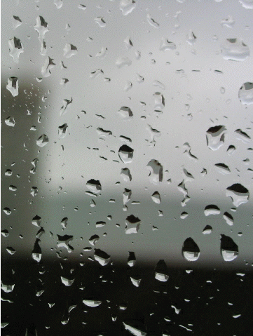 Rain on Window
