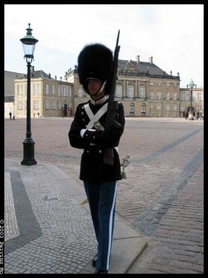 Royal guard at Amalienborg Palace