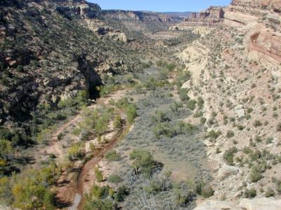 <small>Looking up Arch Canyon<br>from Hotel Rock trail</small>