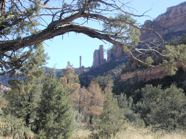 <small>Another view<br>in Arch Canyon</small>