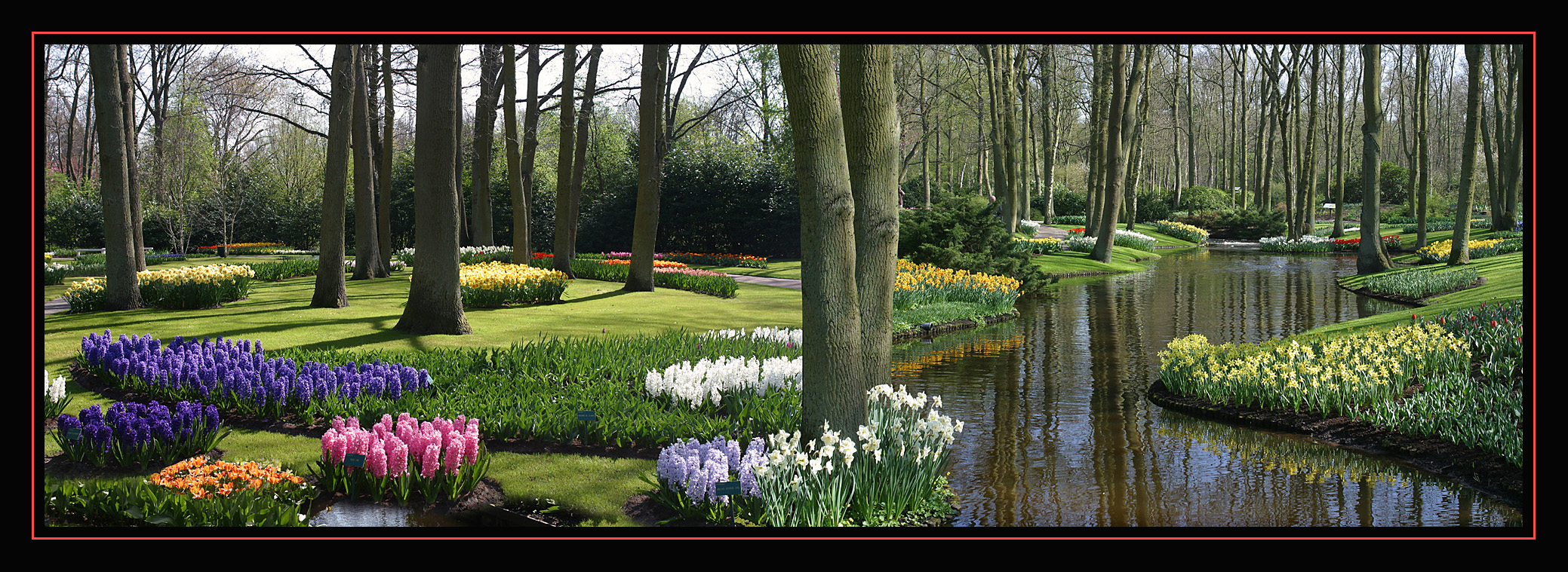Keukenhof gardens