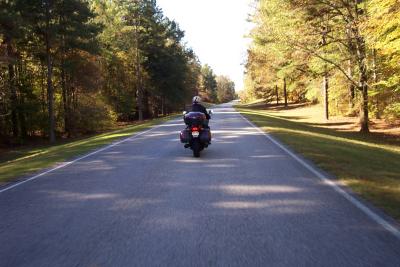 Vern on Natchez Trace Parkway in Mississippi