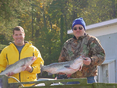 11/3/02 Fall Stripers