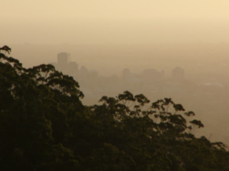 caitsith01 - Adelaide Australia.jpg