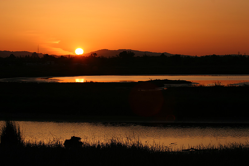Another Baylands Sunset