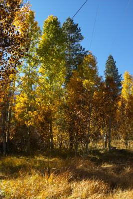 Sierra-Nevada-Mountains05.jpg