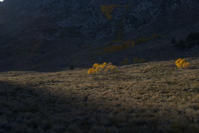 Sierra-Nevada-Mountains27.jpg