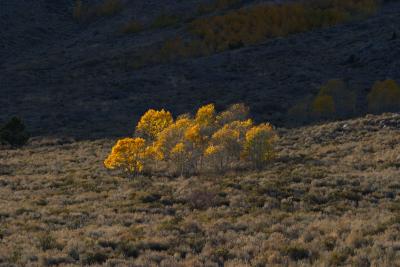 Sierra-Nevada-Mountains28.jpg