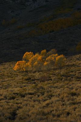 Sierra-Nevada-Mountains29.jpg