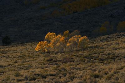 Sierra-Nevada-Mountains31.jpg