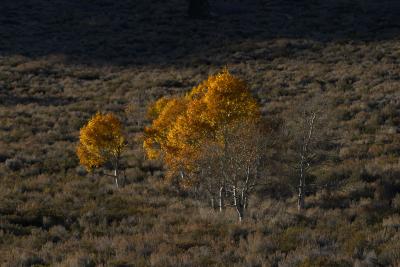 Sierra-Nevada-Mountains32.jpg