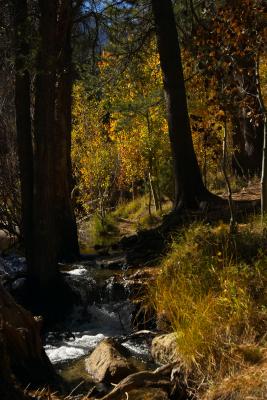 Sierra-Nevada-Mountains38.jpg