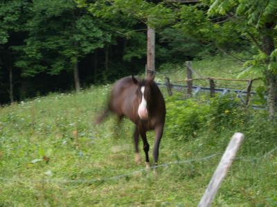 Baby running to the fence