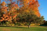 Sunny autumn afternoon