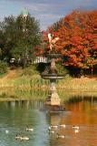 Frog pond fountain