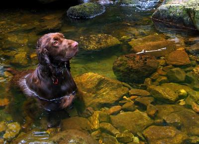 Bradley at Cwm Geidd