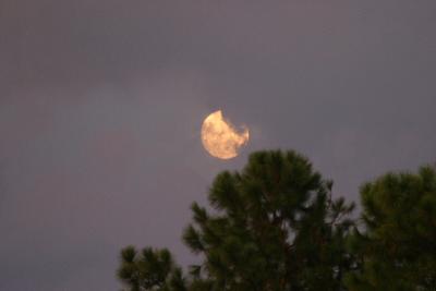 Cloudy Moon