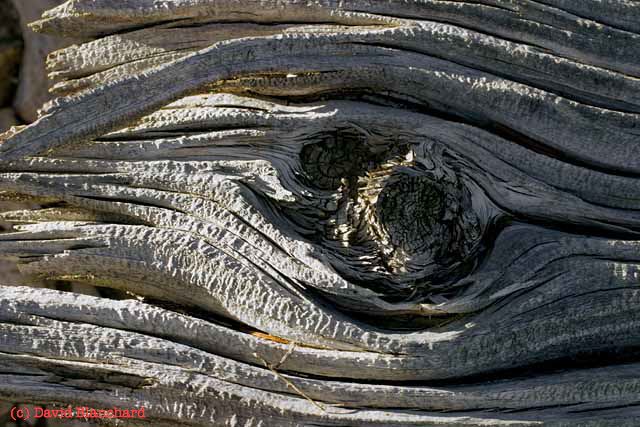 CRW_2493 i.jpg