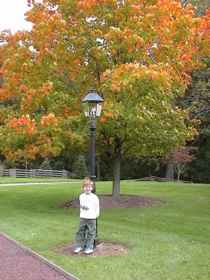 A Great Fall Tree in 
Rita and Henry's front yard.