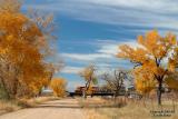 bnsf_autumn_at_rascar.jpg