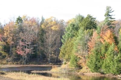 CRW_2048.jpg