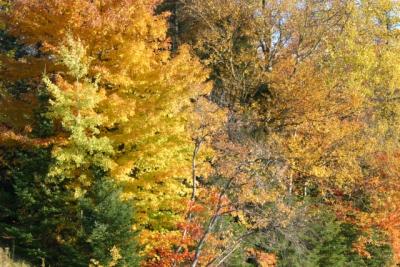 CRW_2052.jpg