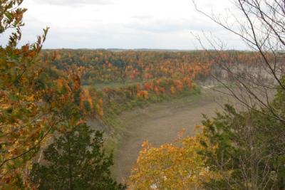 CRW_2183.jpg