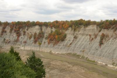 CRW_2198.jpg