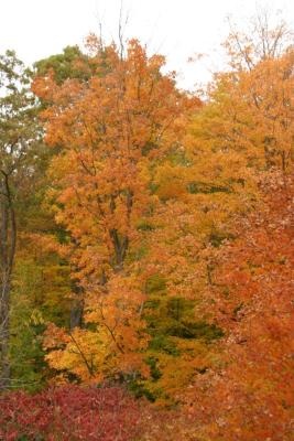 CRW_2213.jpg