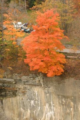 CRW_2220.jpg