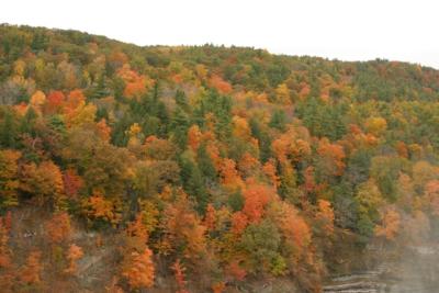 CRW_2232.jpg