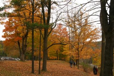 CRW_2250.jpg