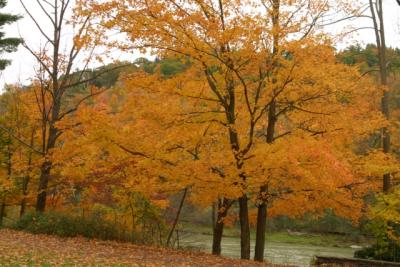 CRW_2252.jpg